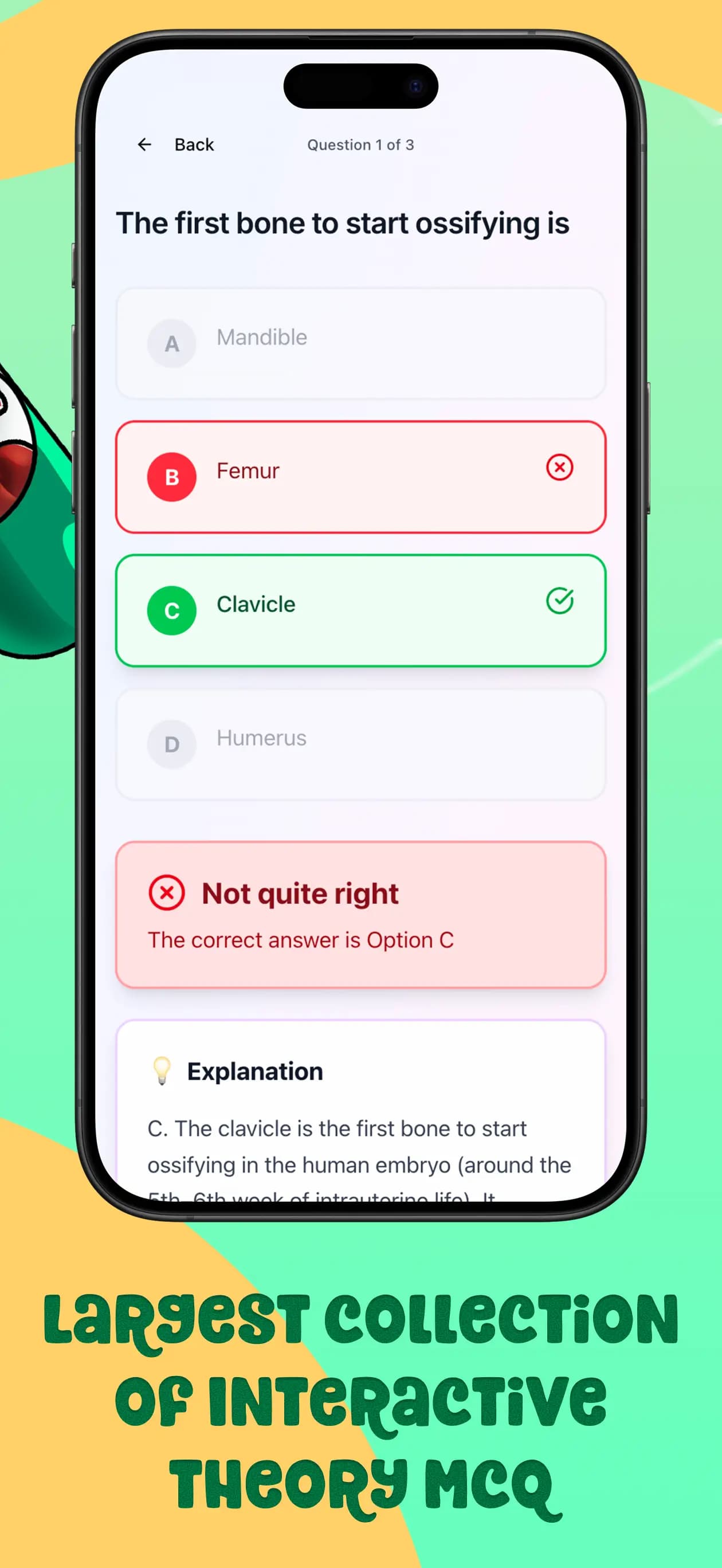 Gecko Med app screenshot: revision flow
