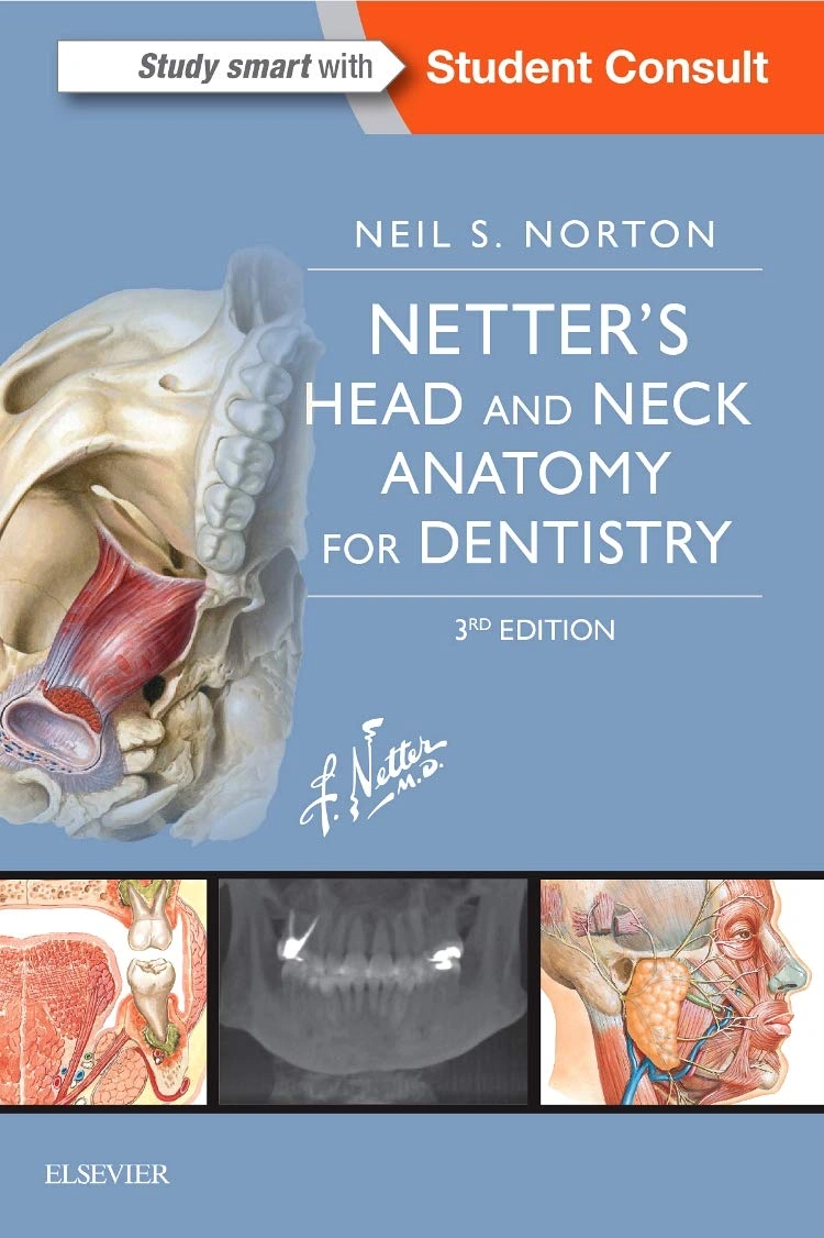 Netter's Head Neck Anatomy Dentistry