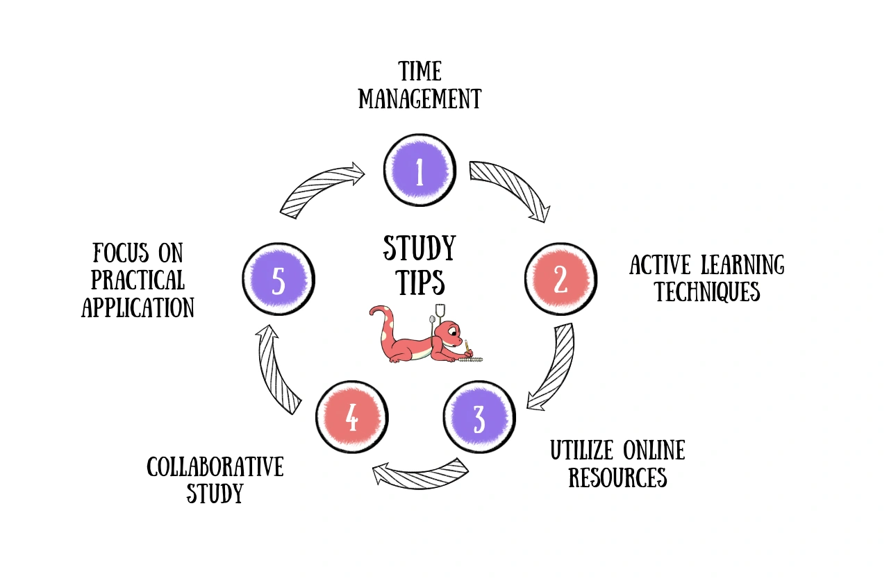 Study Tips Mastering PSM